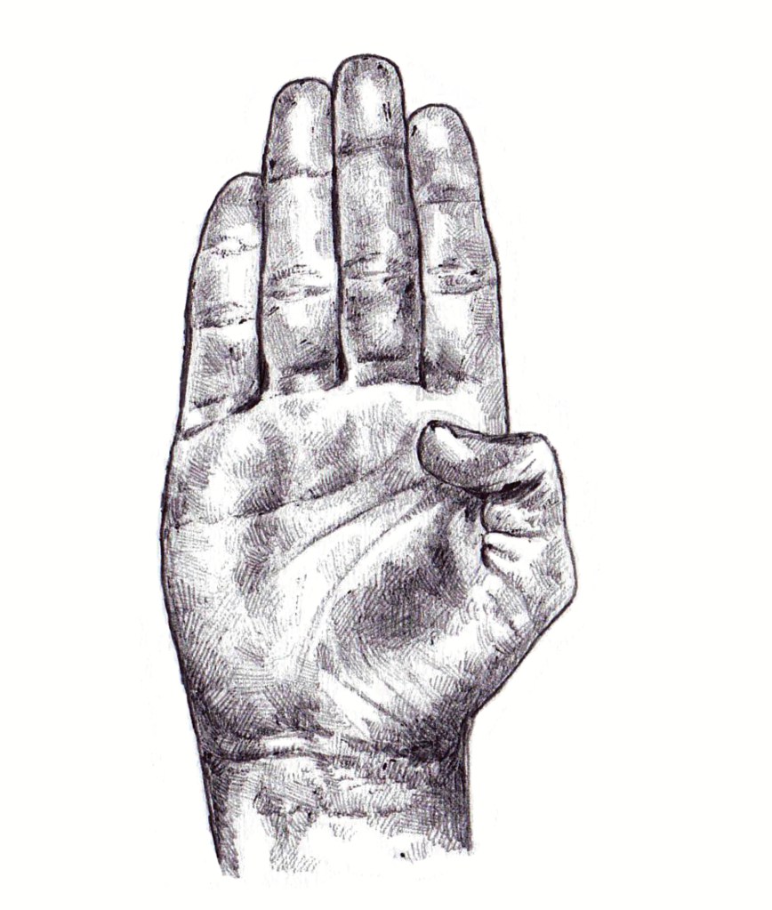 Sign Language Alphabet – roz macLean