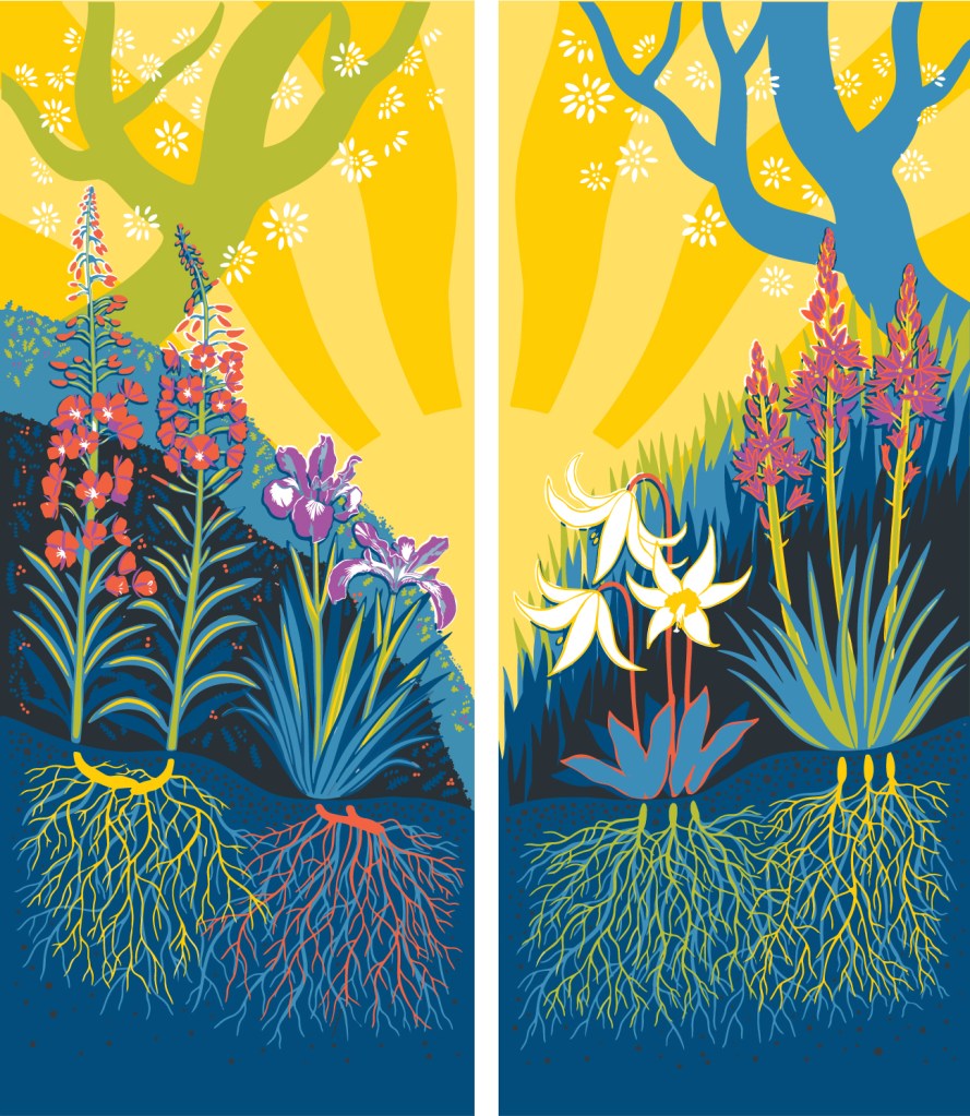 a street banner graphic design, a colourful scene of four flowers rooted in soil against a background of grasses, berry bushes, tree branches, and a shining yellow sun
